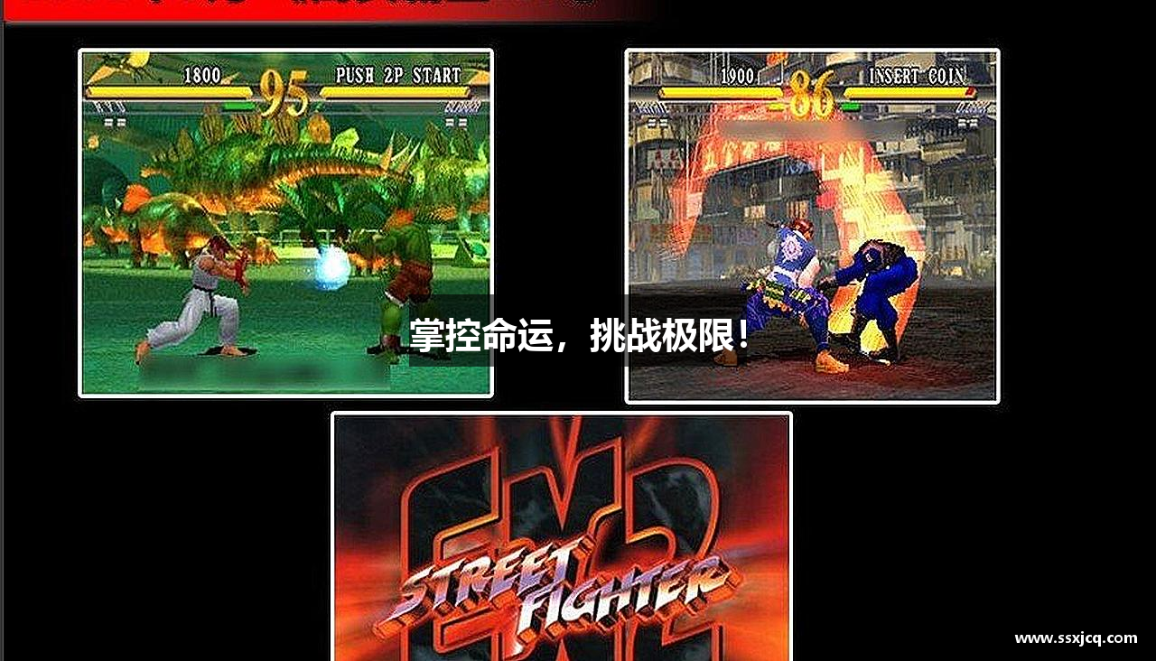 掌控命运，挑战极限！